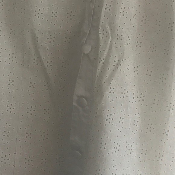 F A N G       LARGE.   LIGHT GREY - Picture 2 of 4